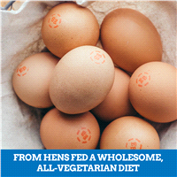 slide 7 of 21, Eggland's Best Cage Free Large Brown Eggs, 18 ct
