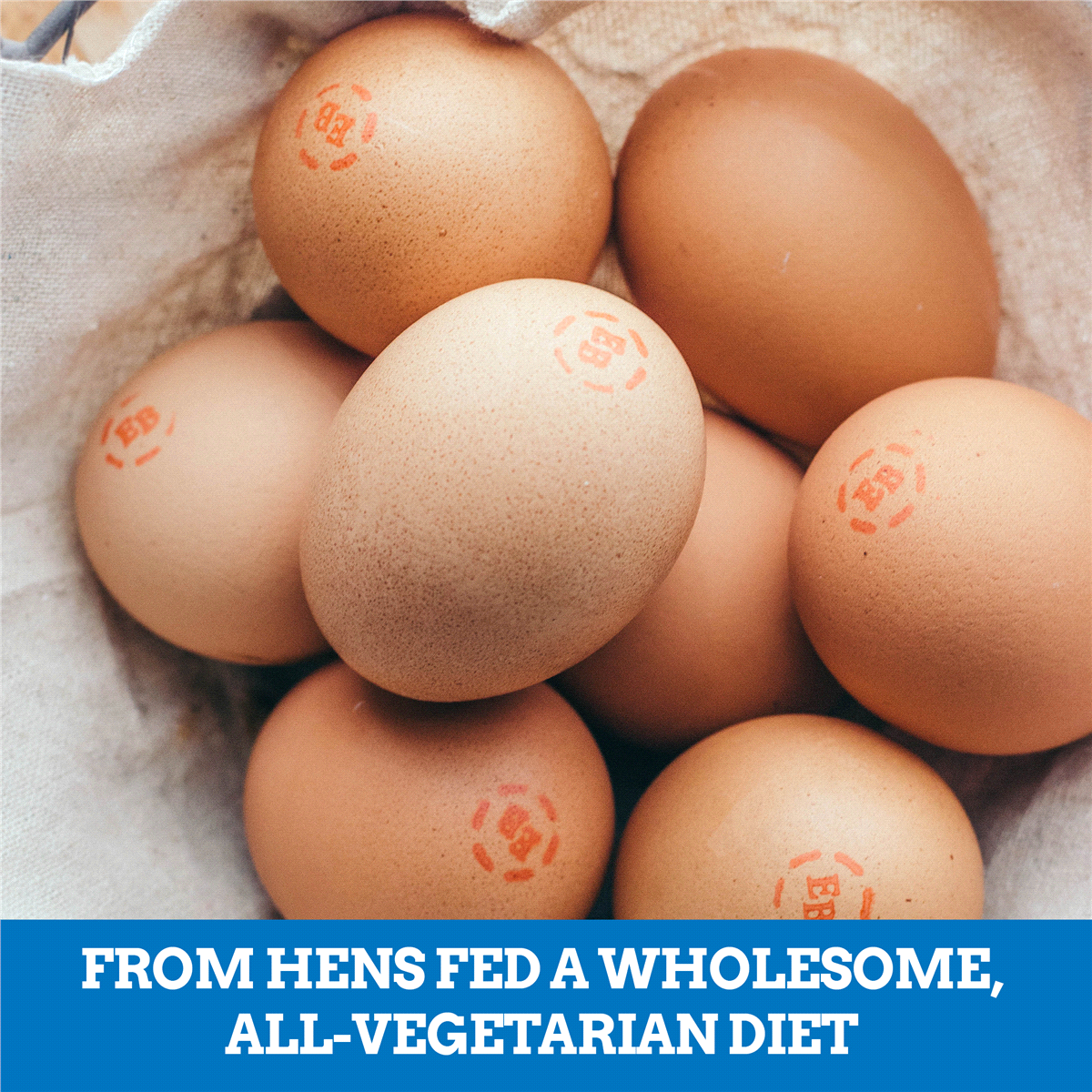 slide 9 of 21, Eggland's Best Cage Free Large Brown Eggs, 18 ct