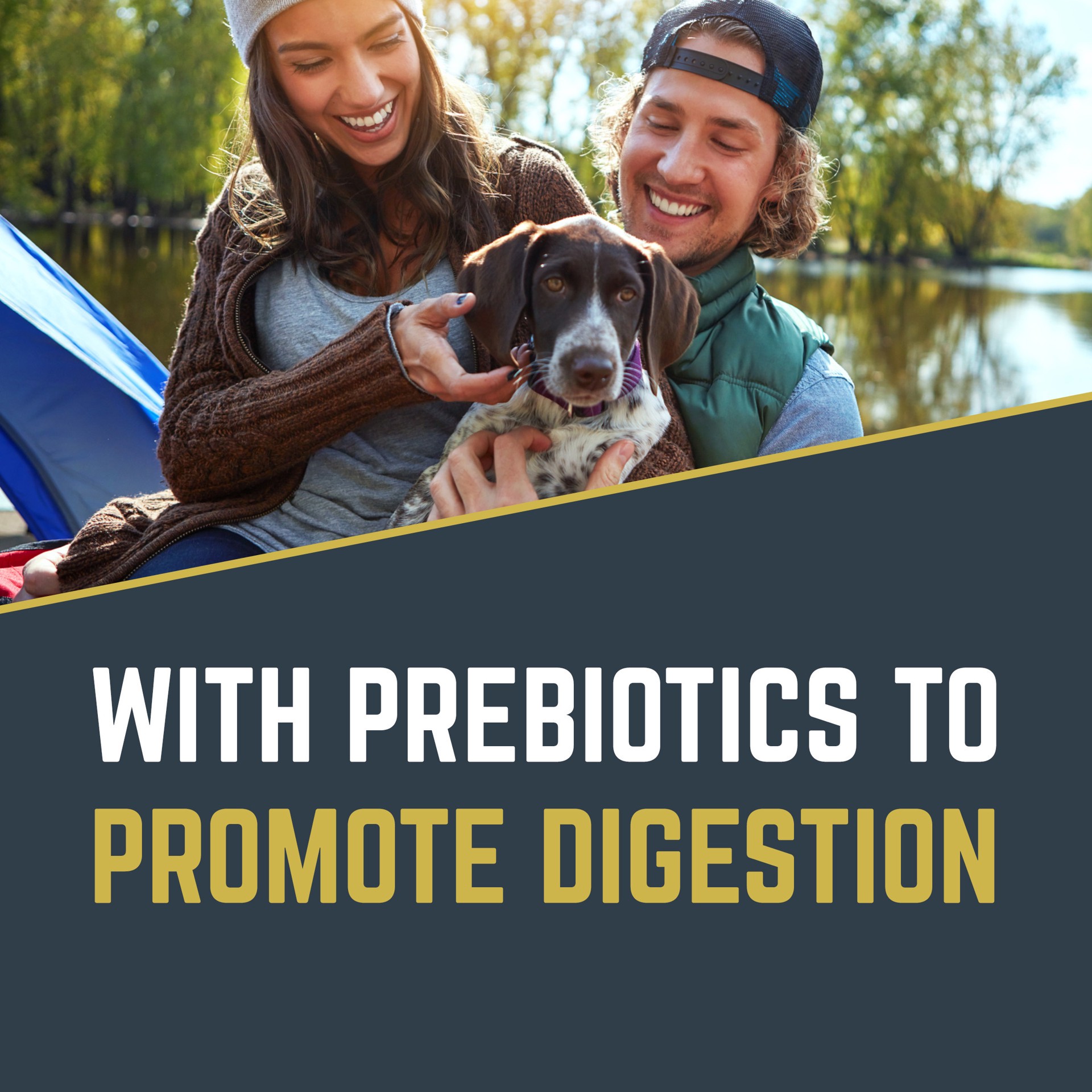 slide 3 of 4, Black Gold Explorer Original Performance 26/18 Dry Dog Food 15 lbs, 15 lb