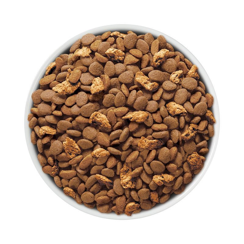 slide 2 of 8, Purina ONE Tender Selects Blend Natural Real Salmon & Fish Flavor Dry Cat Food - 3.5lbs, 3.5 lb