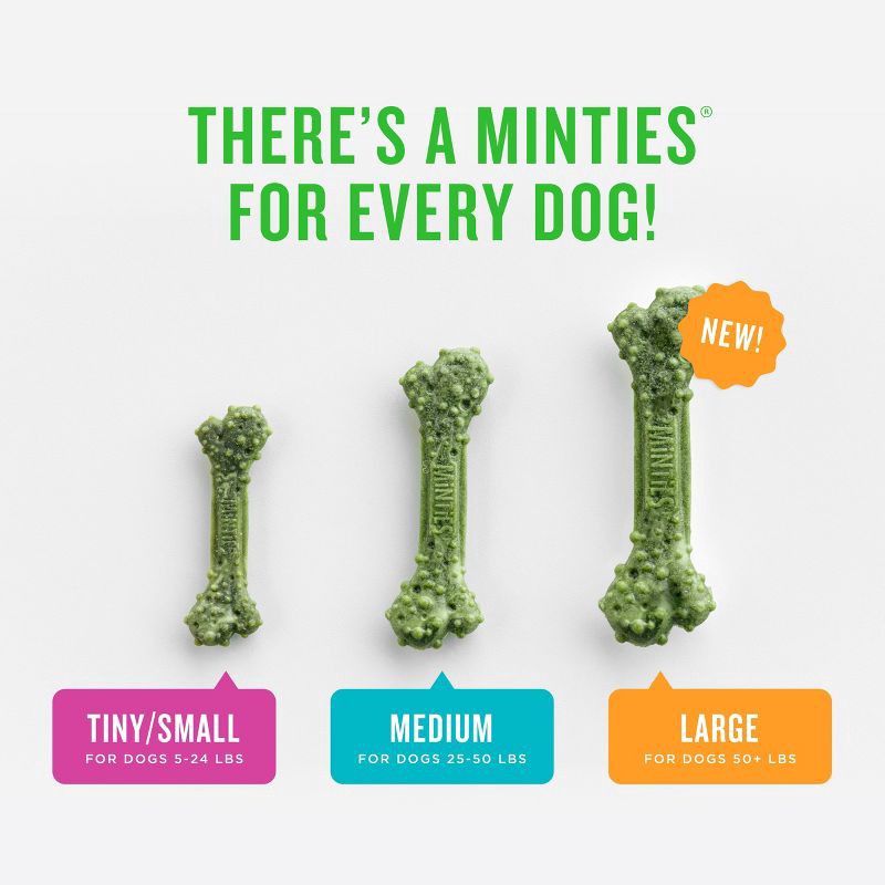 slide 3 of 7, VetIQ Minties - Dental Peppermint Flavor Dog Treat - Tiny/Small - 16oz, 16 oz