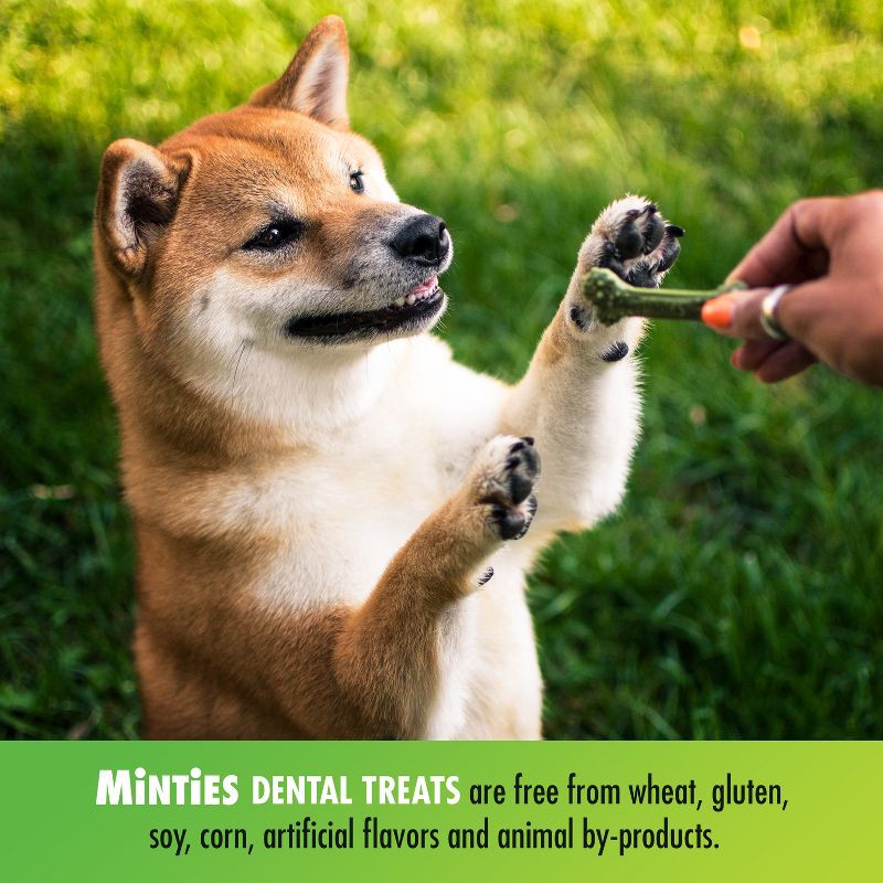 slide 4 of 7, VetIQ Minties - Dental Peppermint Flavor Dog Treat - Tiny/Small - 16oz, 16 oz