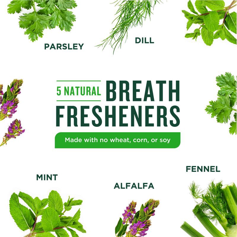 slide 4 of 10, VetIQ Minties - Dental Peppermint Flavor Dog Treat - Tiny/Small - 16oz, 16 oz