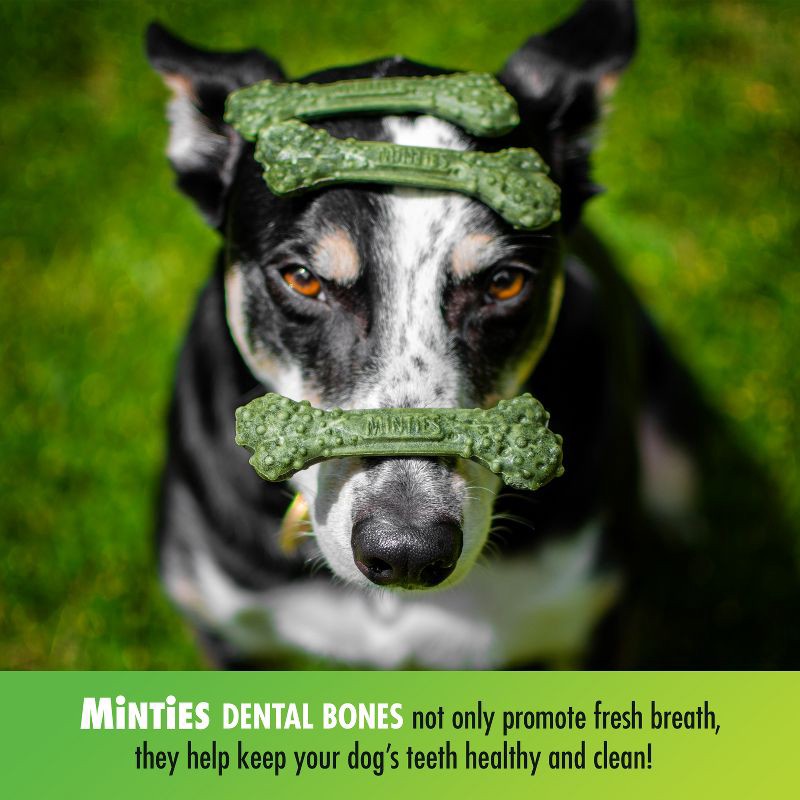 slide 6 of 7, VetIQ Minties - Dental Peppermint Flavor Dog Treat - Tiny/Small - 16oz, 16 oz