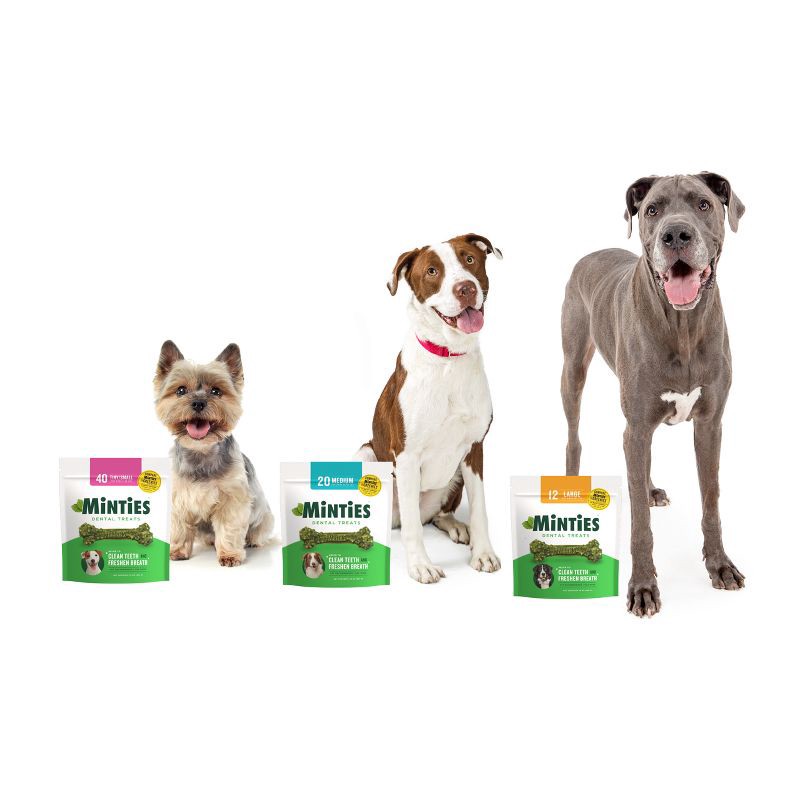 slide 7 of 10, VetIQ Minties - Dental Peppermint Flavor Dog Treat - Tiny/Small - 16oz, 16 oz