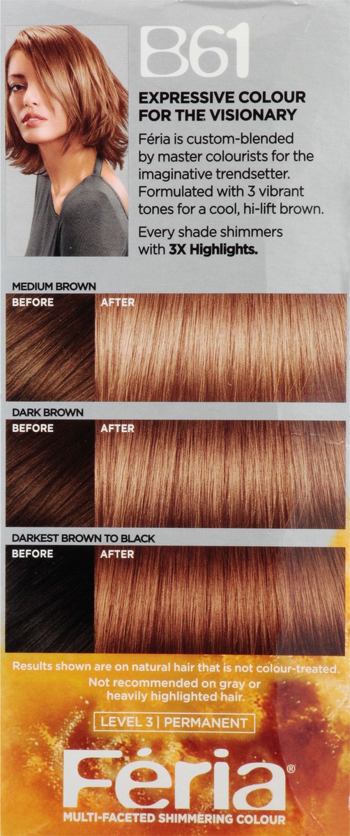 slide 8 of 13, L'Oréal Fería Hi-Lift Brown B61 Hair Colour Gel 1 ea, 1 kit