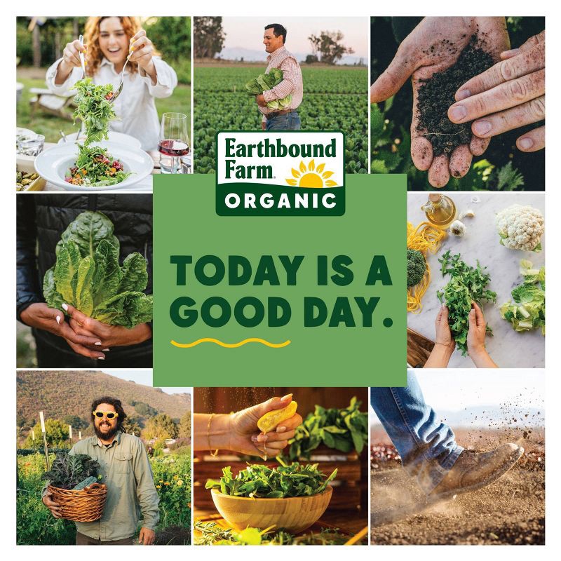 slide 3 of 3, Earthbound Farms Fresh Organic 50/50 Spinach + Spring Mix Lettuces - 16oz, 16 oz