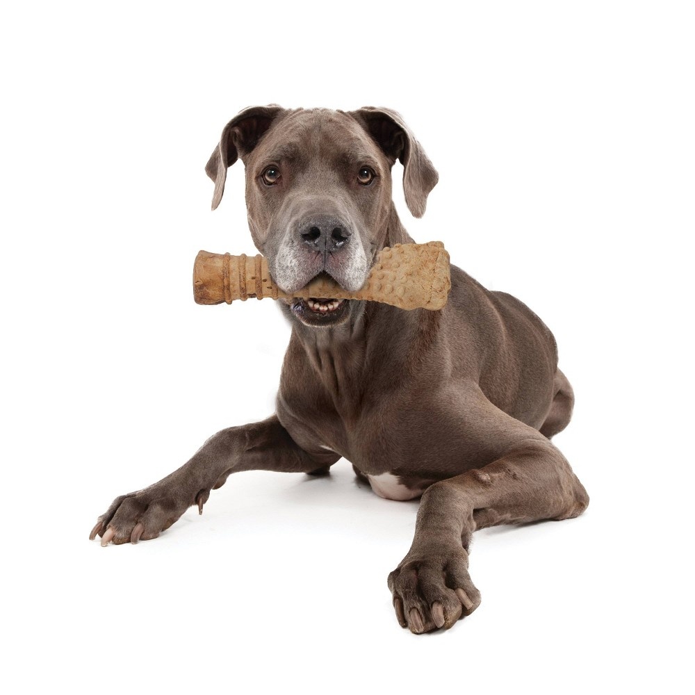 slide 4 of 4, Nylabone Natural Extra Large Nubz with Wild Bison Flavored Chewy Dental Chew Dog Treats, 1 ct