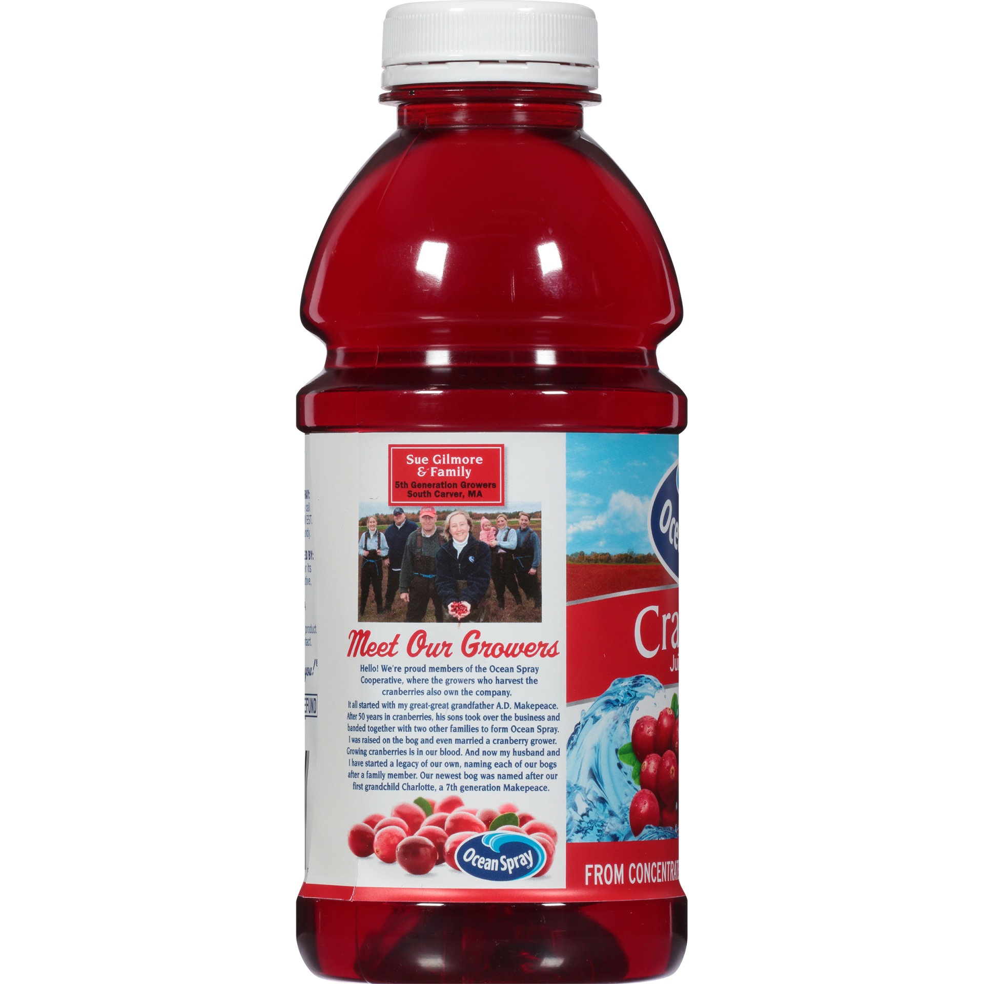 slide 2 of 6, Ocean Spray Cranberry Juice, 25 fl oz