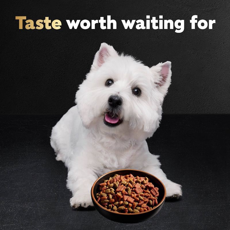 slide 8 of 12, Cesar Filet Mignon Beef Steak Flavor with Spring Vegetables Garnish Adult Dry Dog Food - 12lbs, 12 lb