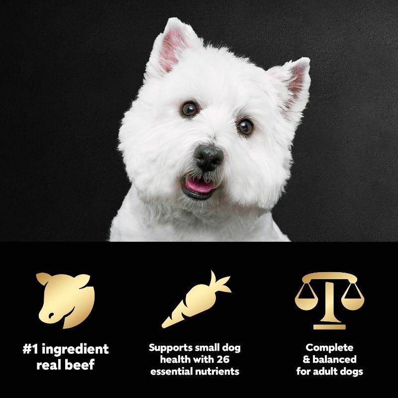 slide 7 of 12, Cesar Filet Mignon with Spring Vegetables Flavor Small Breed Dry Dog Food - 5lbs, 5 lb