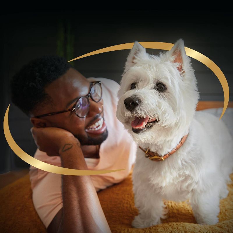 slide 11 of 12, Cesar Filet Mignon with Spring Vegetables Flavor Small Breed Dry Dog Food - 5lbs, 5 lb