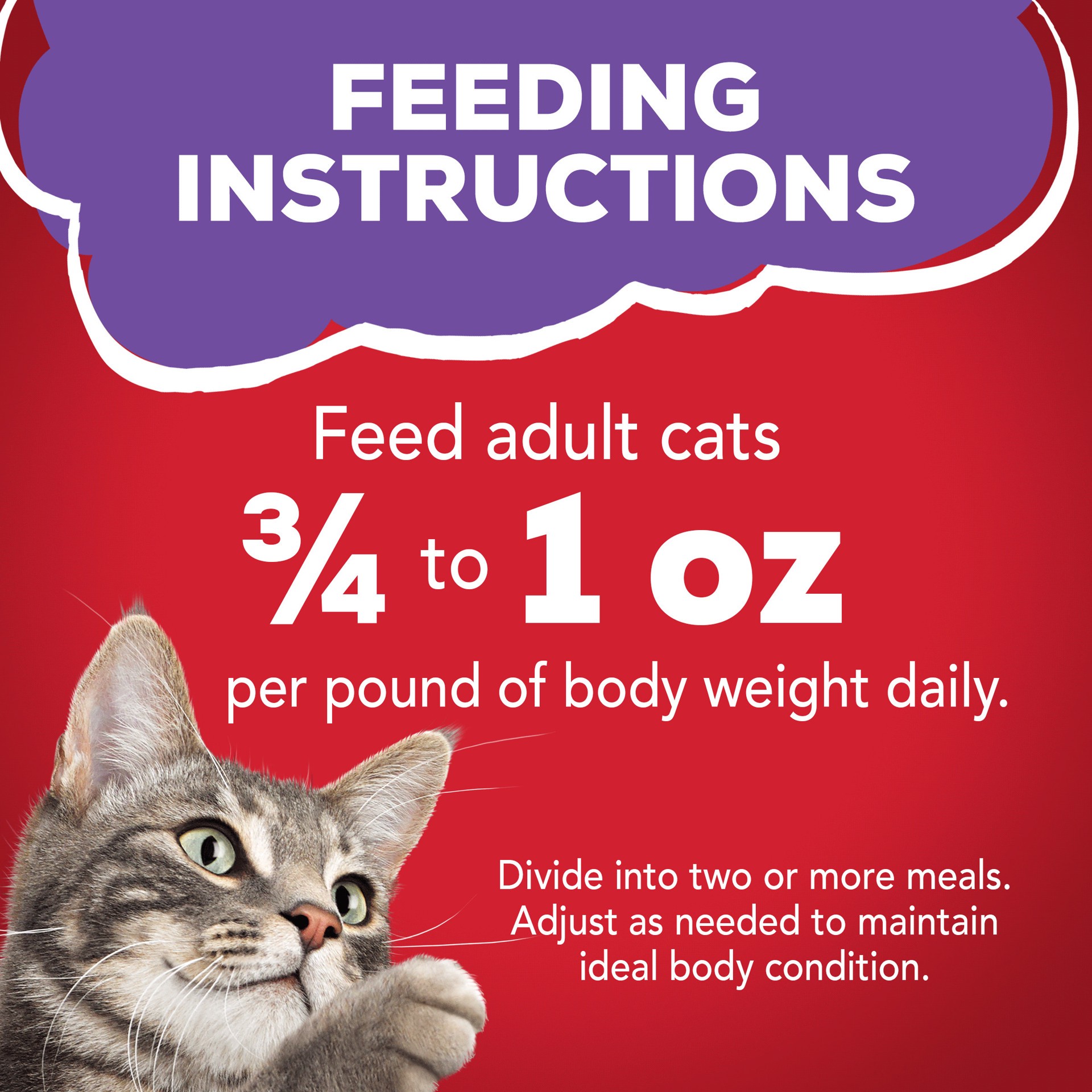 slide 6 of 7, Friskies Purina Friskies Gravy Wet Cat Food, Meaty Bits With Beef in Gravy, 5.5 oz