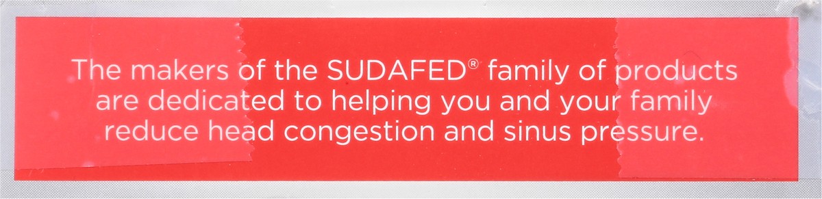 slide 8 of 9, Sudafed Caplets Pressure + Pain 12 Hour Sinus 16 ea, 