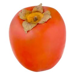 Persimmon