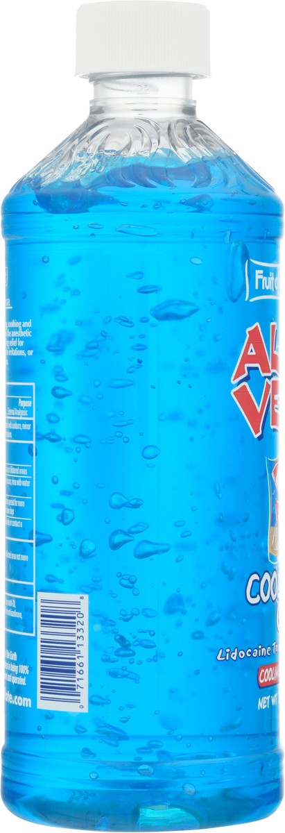 slide 6 of 10, Fruit Of The Earth Cool Blue Blue Aloe Gel W/Lido, 20 oz