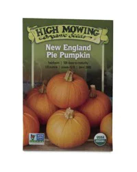 High Mowing Organic Seeds New England Pumpkin Pie Seeds