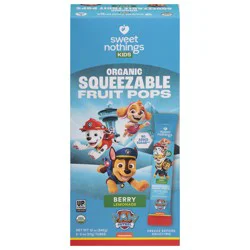 Sweet Nothings Organic Frozen Berry Lemonade Fruit Freezie - 12 fl oz/6ct