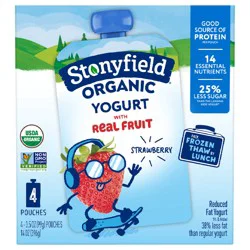 Stonyfield Organic Kids Reduced Fat Yogurt Pouches, Strawberry