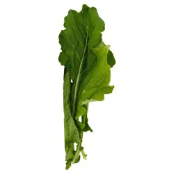 Mustard Greens