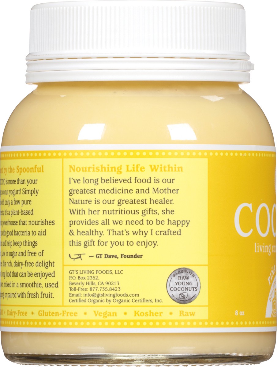 slide 6 of 12, Cocoyo Pina Colada Coconut Yogurt 8 oz, 8 oz