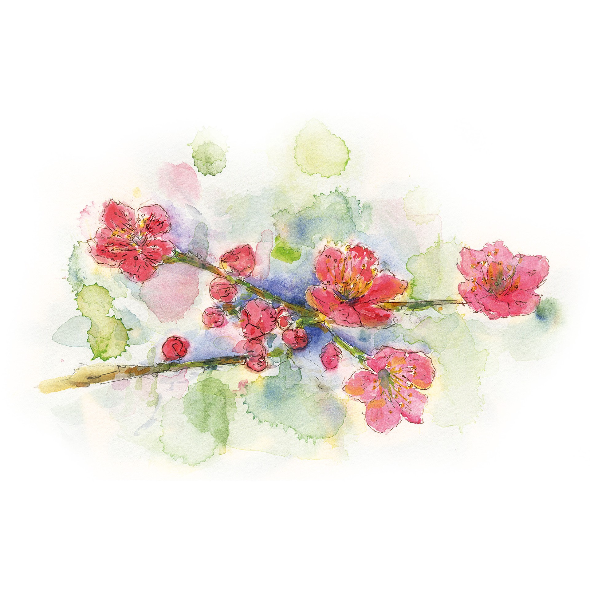 slide 6 of 6, Kuretake Gansai Tambi 24 Color Watercolor Set, 8.85 in x 8.35 in x 0.85 in