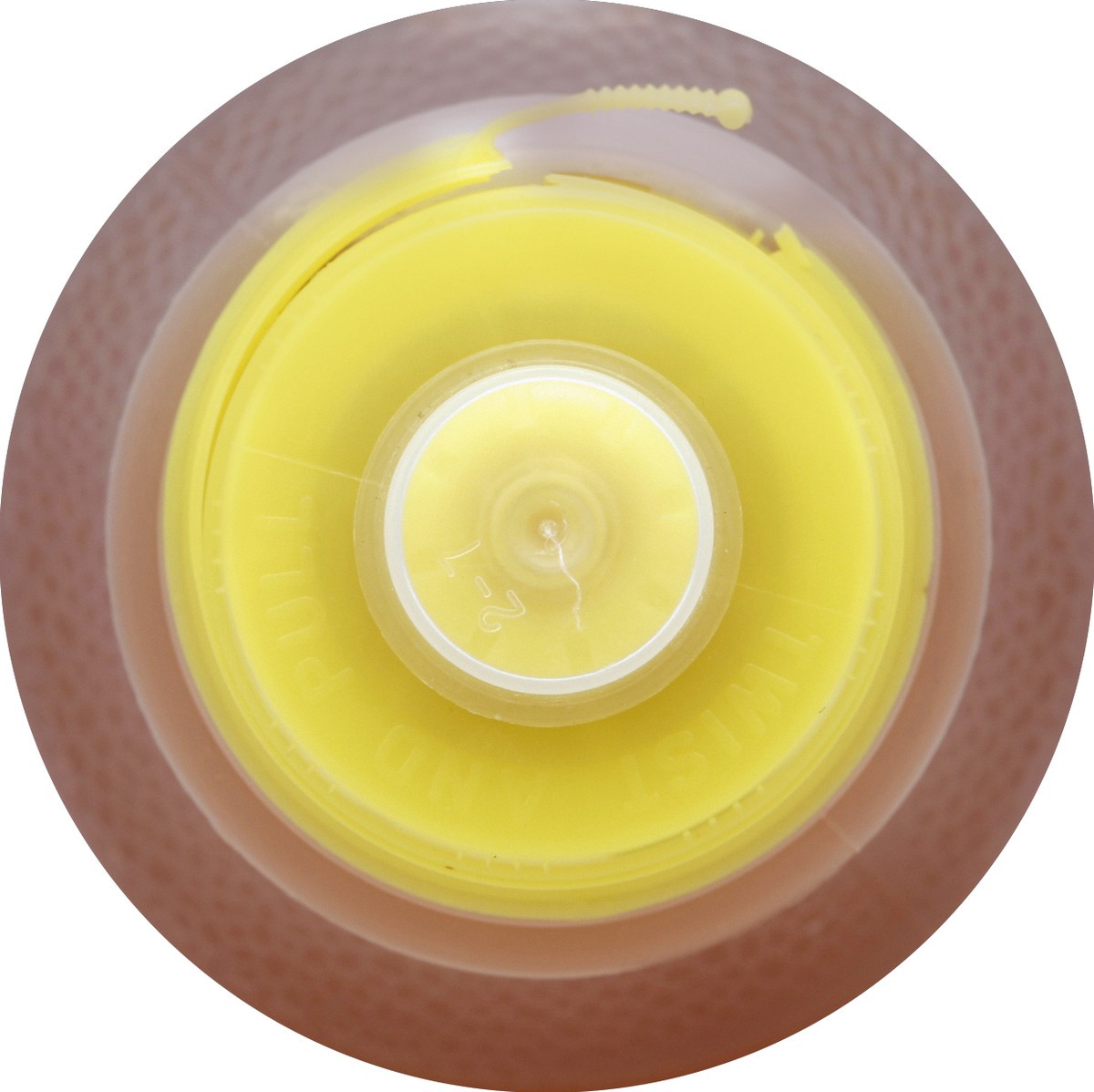 slide 2 of 4, Turner's Turners Premium Iced Tea - 20 oz, 20 oz