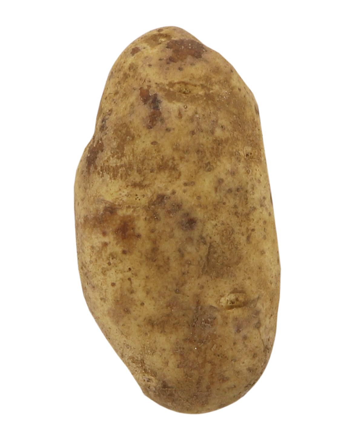 slide 1 of 1, Baking Potatoes, 1 ct