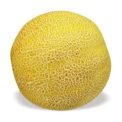 Melons Galia
