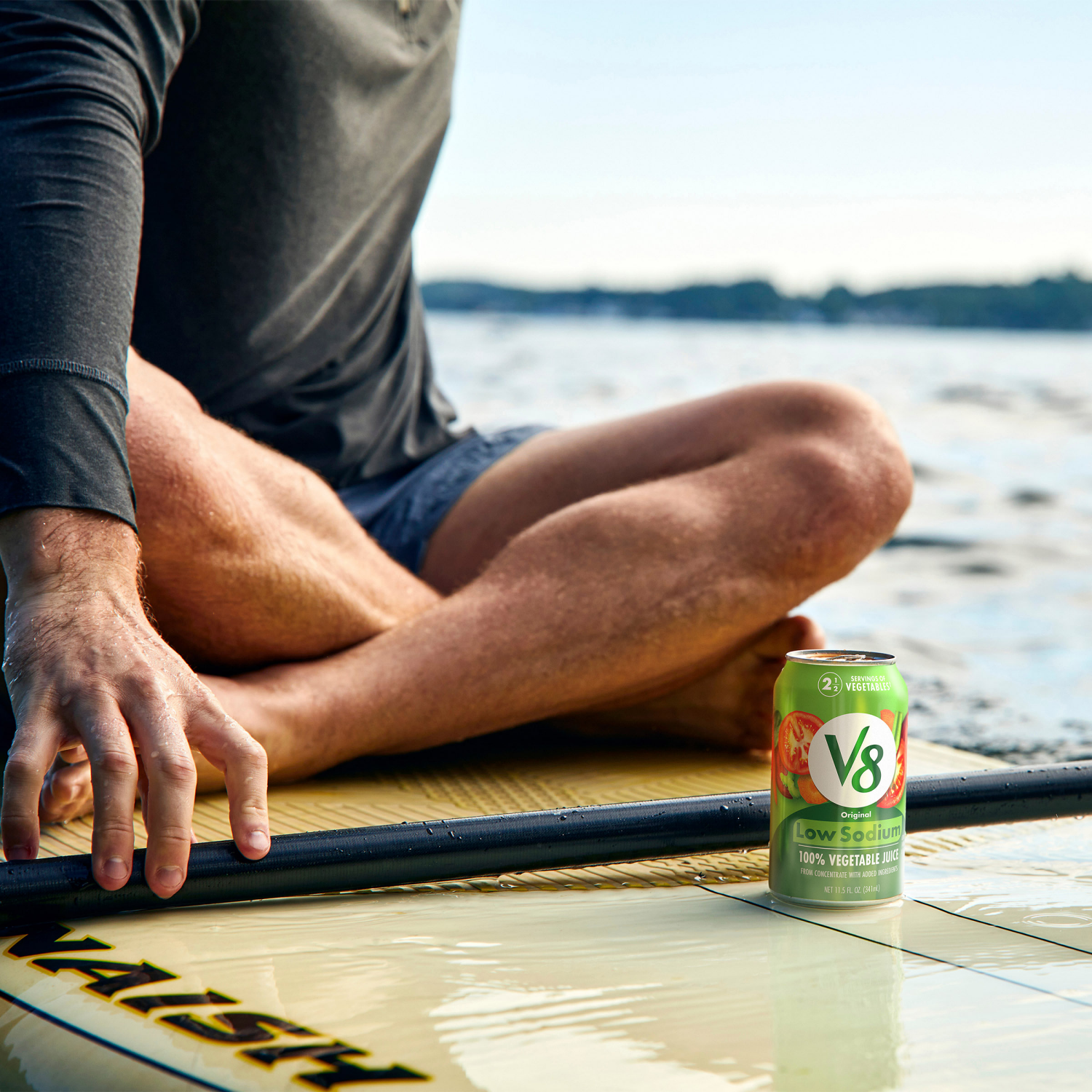 slide 4 of 5, V8 Low Sodium Original 100% Vegetable Juice, 69.000 fl oz