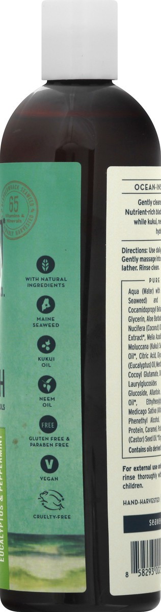 slide 8 of 9, The Seaweed Bath Hydrating Cleansing Eucalyptus & Peppermint Body Wash 12 oz, 12 oz