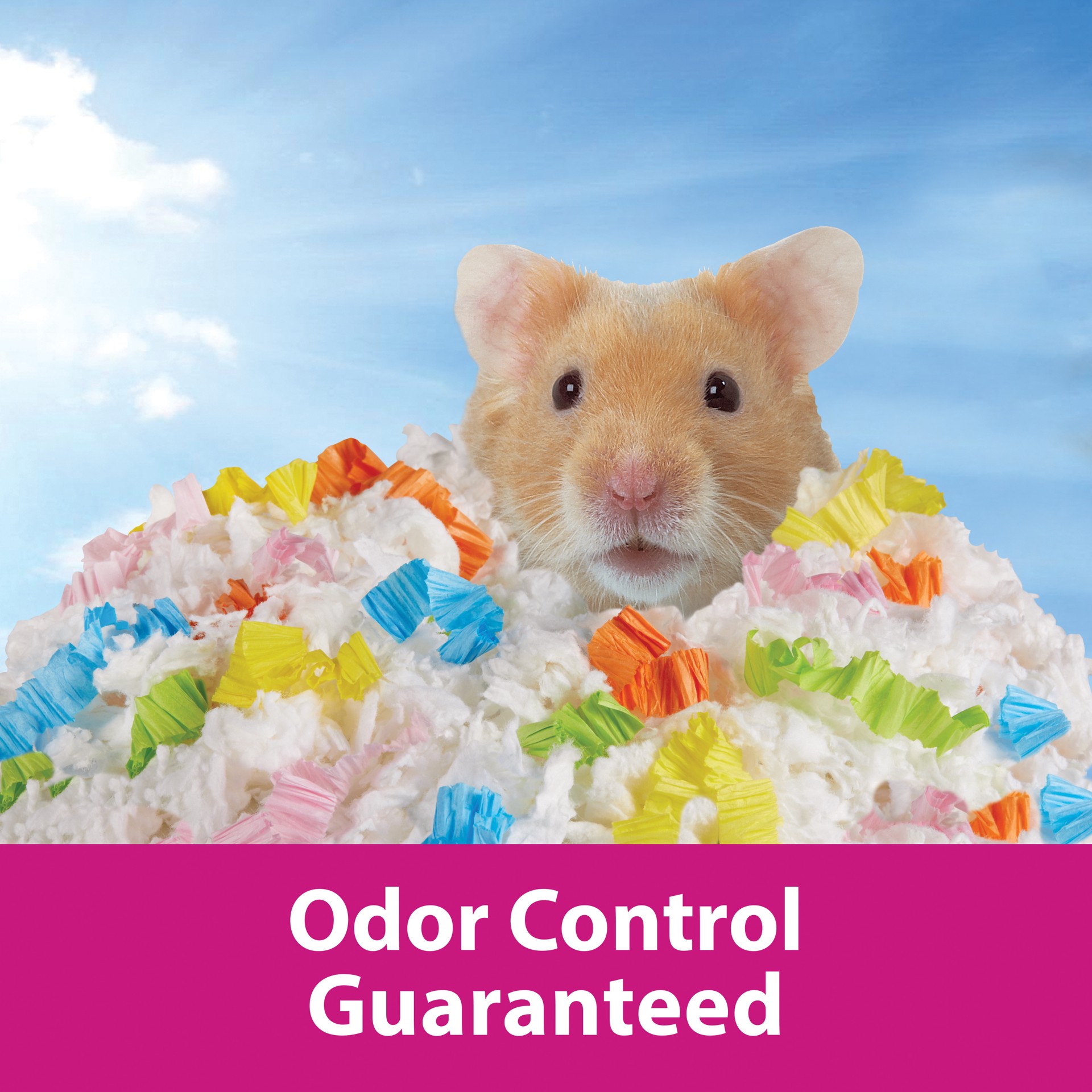 slide 8 of 10, Kaytee Clean & Cozy Confetti Bedding White Paper Bedding with Colored Confetti Paper 24.6 liters, 1 ct