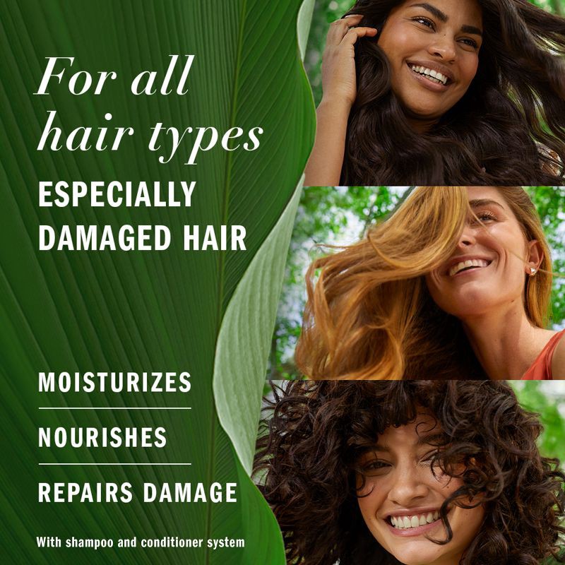 slide 4 of 13, Herbal Essences Argan Oil , Repairing Conditioner, Color-Safe, For Damaged Hair - 13.5 fl oz, 13.5 fl oz