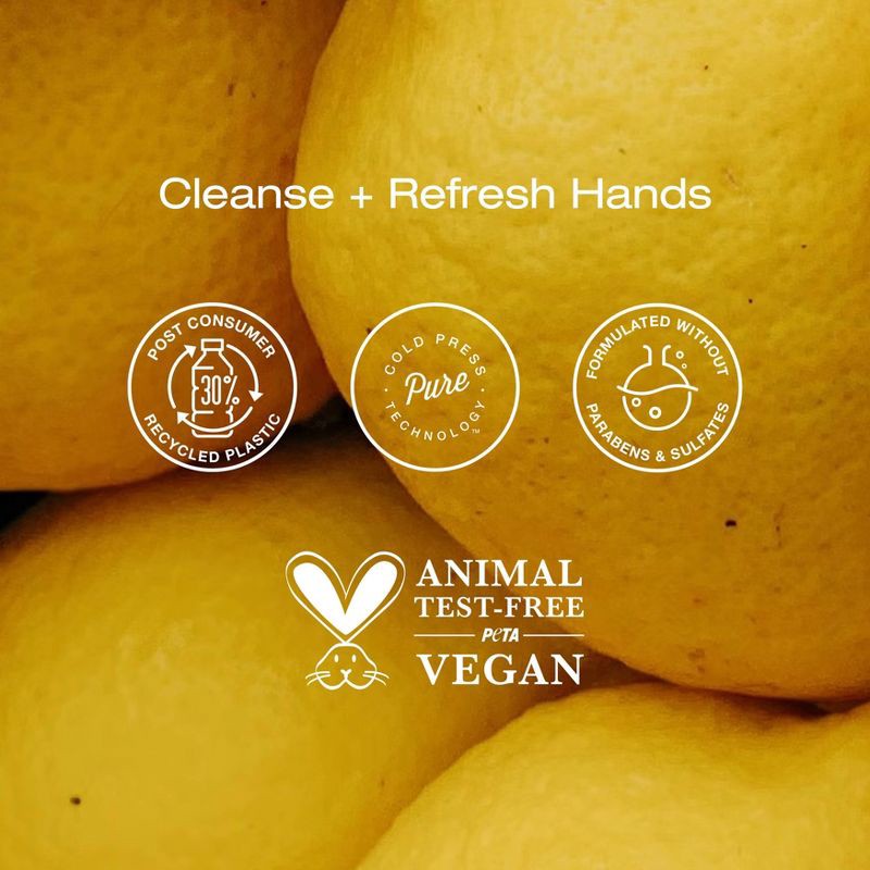 slide 4 of 7, Raw Sugar Moisture Loving Hand Wash - Lemon Sugar - 16.9 fl oz, 16.9 fl oz