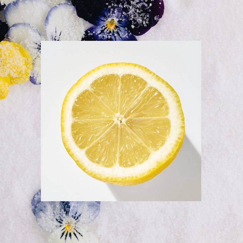 slide 5 of 7, Raw Sugar Moisture Loving Hand Wash - Lemon Sugar - 16.9 fl oz, 16.9 fl oz