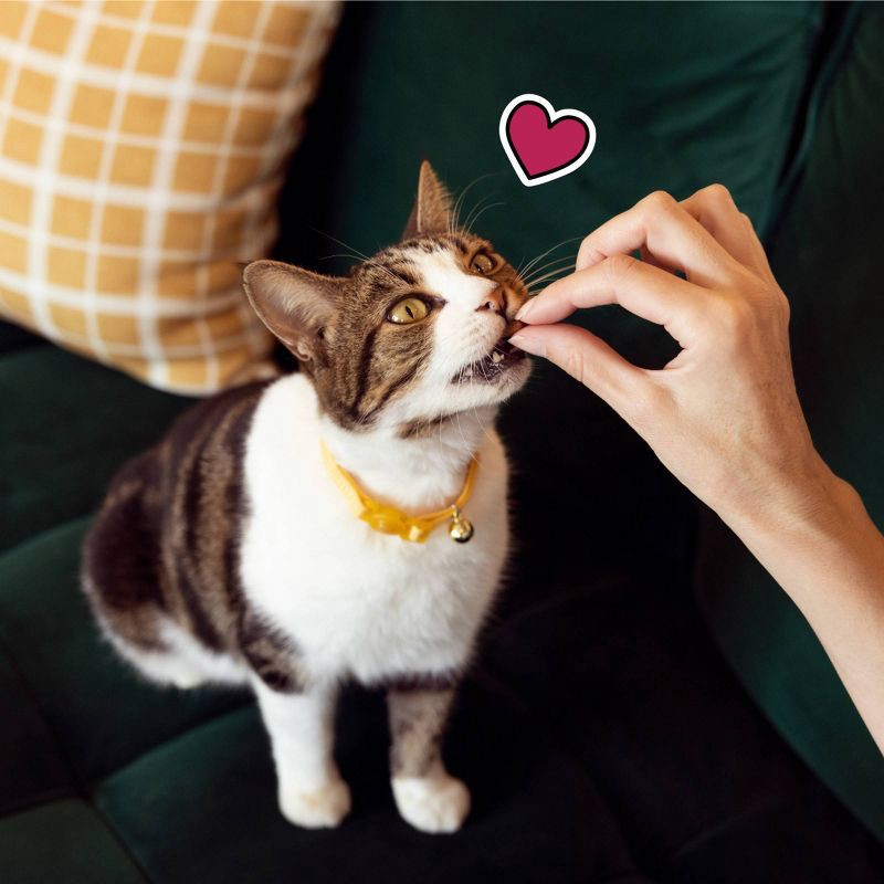 slide 8 of 12, Temptations Cheese, Chicken and Catnip Flavor Mix-Ups Crunchy Treats Cat Treats - 16oz, 16 oz