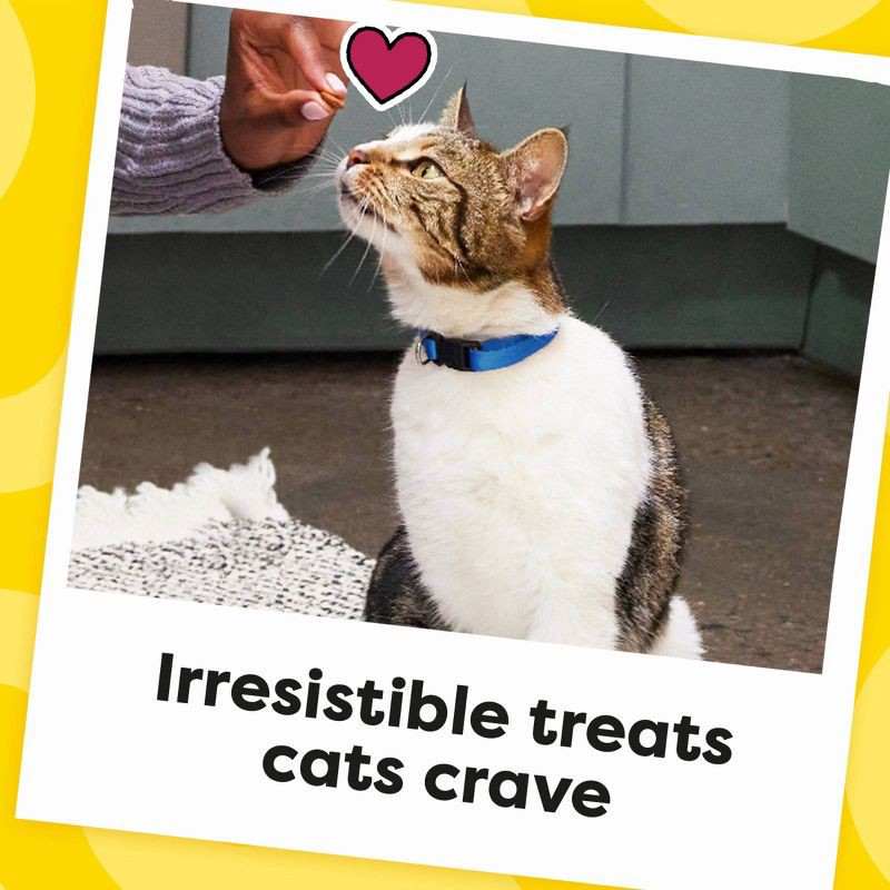 slide 6 of 10, Temptations Creamy Milk Crunchy Cat Treats - 16oz, 16 oz