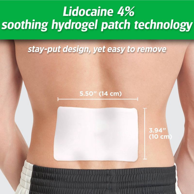 slide 5 of 6, Salonpas Lidocaine 4% Pain Relieving Gel Patch - Odor Free - 6ct, 6 ct