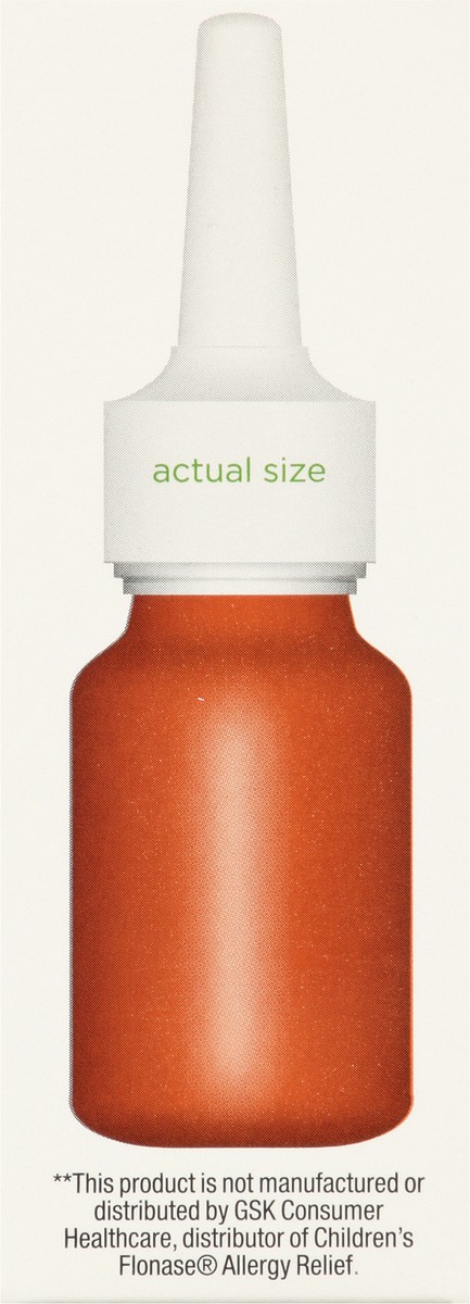 slide 8 of 16, TopCare Children's Allergy Relief Nasal Spray, 0.38 fl oz