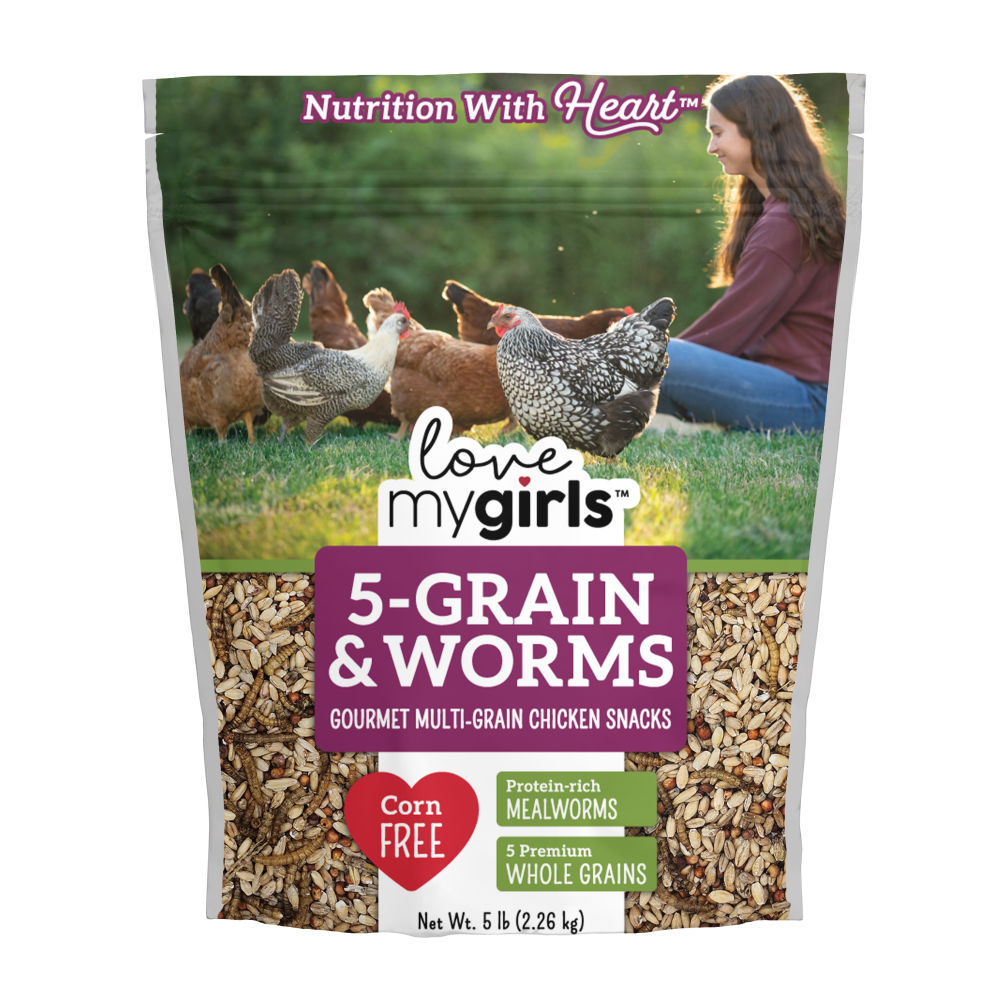 slide 1 of 1, Audubon Park 5-Grain & Worms Chicken Snack Bird Food, 5 lb