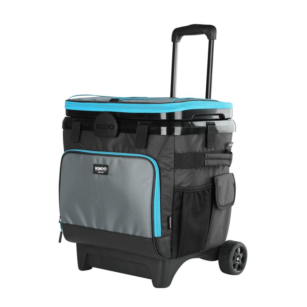 Igloo MaxCold Evergreen Cool Fusion 28qt Cooler 28 qt Shipt