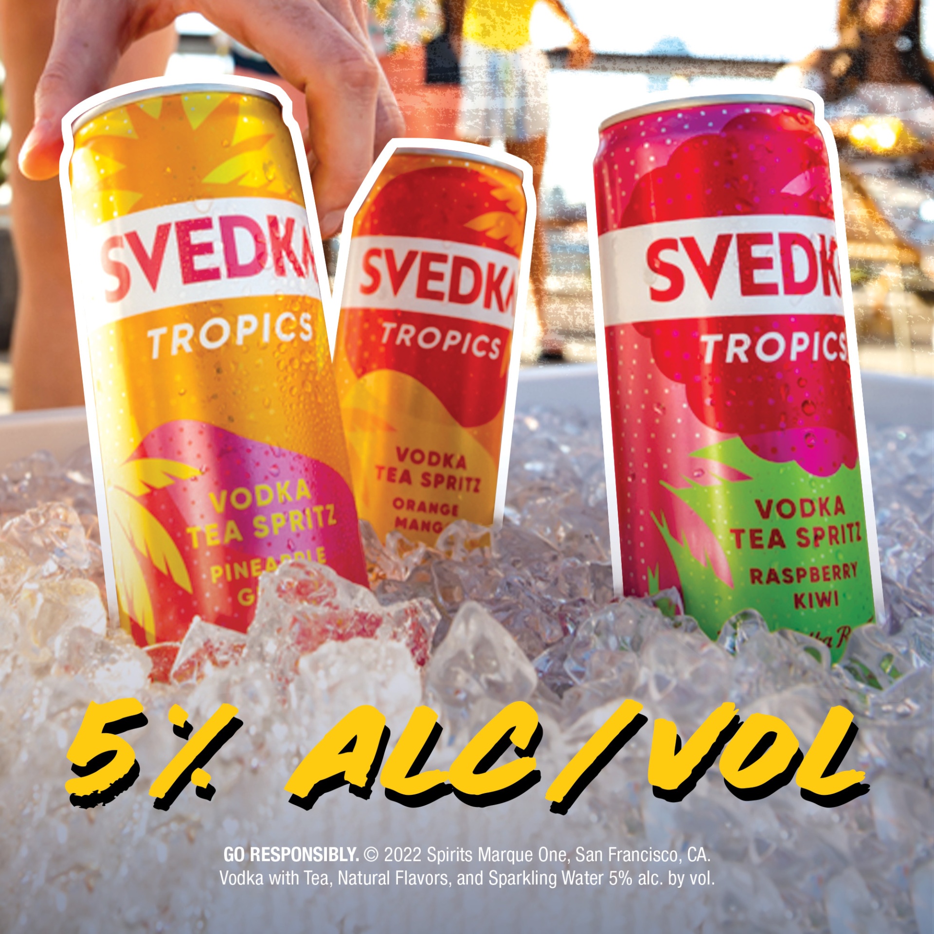 svedka-tropics-raspberry-kiwi-vodka-tea-spritz-cans-355-ml-shipt