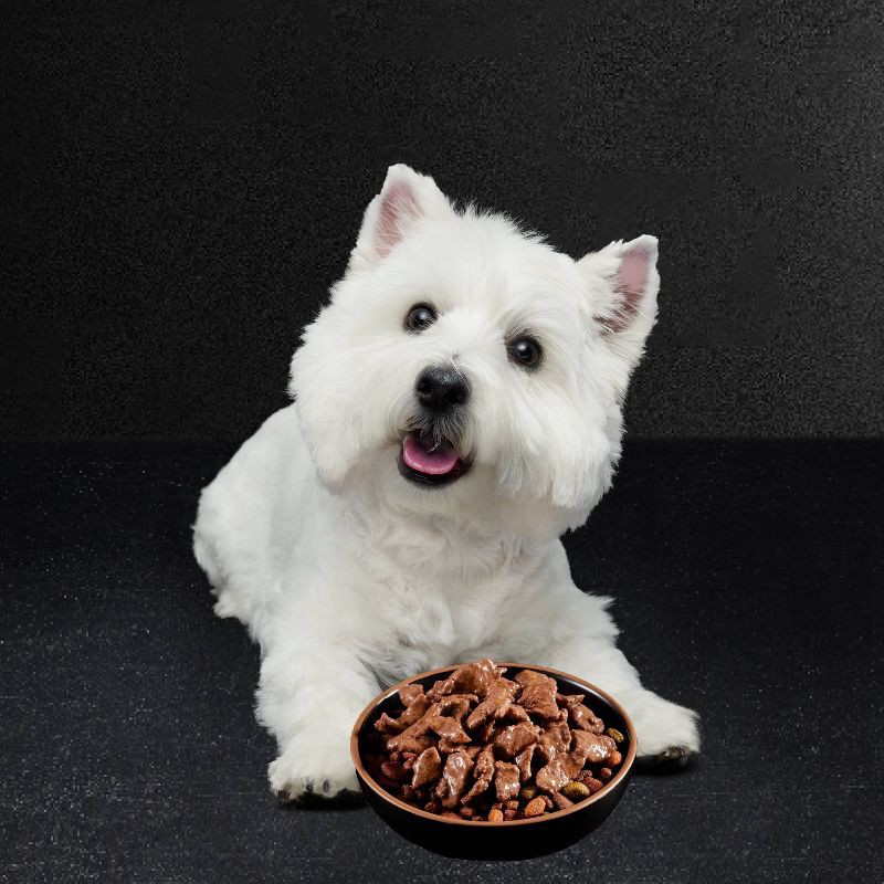 slide 4 of 10, Cesar Filets in Gravy Filet Mignon, New York Strip and Prime Rib Adult Wet Dog Food with Chicken & Beef Flavor - 5.29lbs/24ct, 5.29 lb, 24 ct