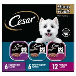 Cesar Filets in Gravy Chicken, Steak, Beef, Gravy and Red Meat Flavor Variety Pack Small Breed Wet Dog Food - 5.29lbs/24ct