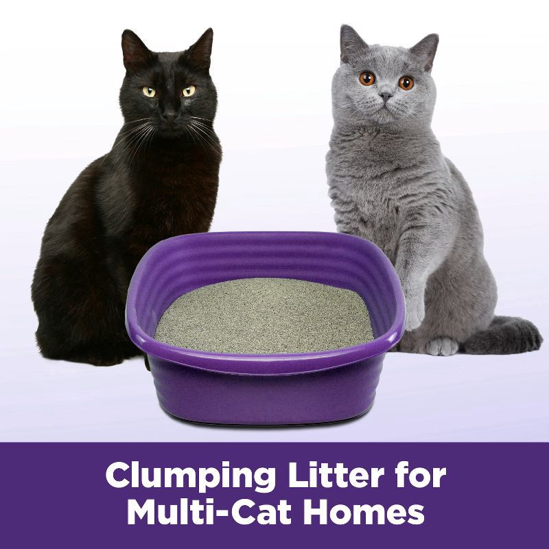 slide 6 of 14, Arm & Hammer Slide Easy Clean Up Multi-Cat Clumping Litter - 19lbs, 19 lb