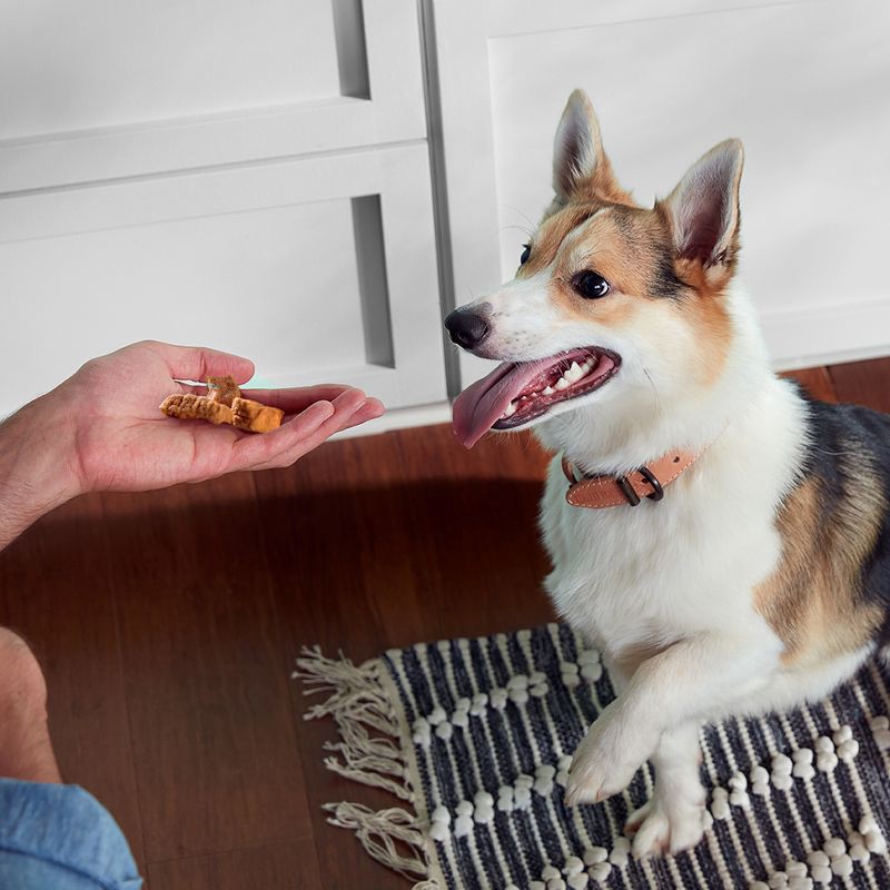 slide 4 of 12, Nutrish Savory Roasters Grain Free Chewy Chicken Dog Treats - 12oz, 12 oz