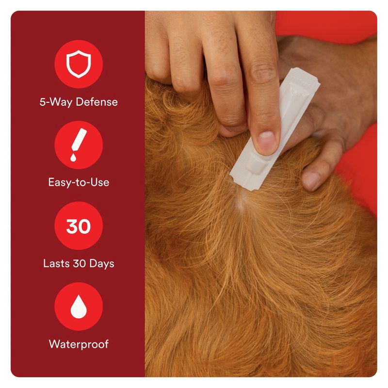 slide 7 of 9, Advecta Pet Insect Flea Drops Treatment for Dogs - S - 4 to 10lbs - 4ct, 4 ct; 10 lb
