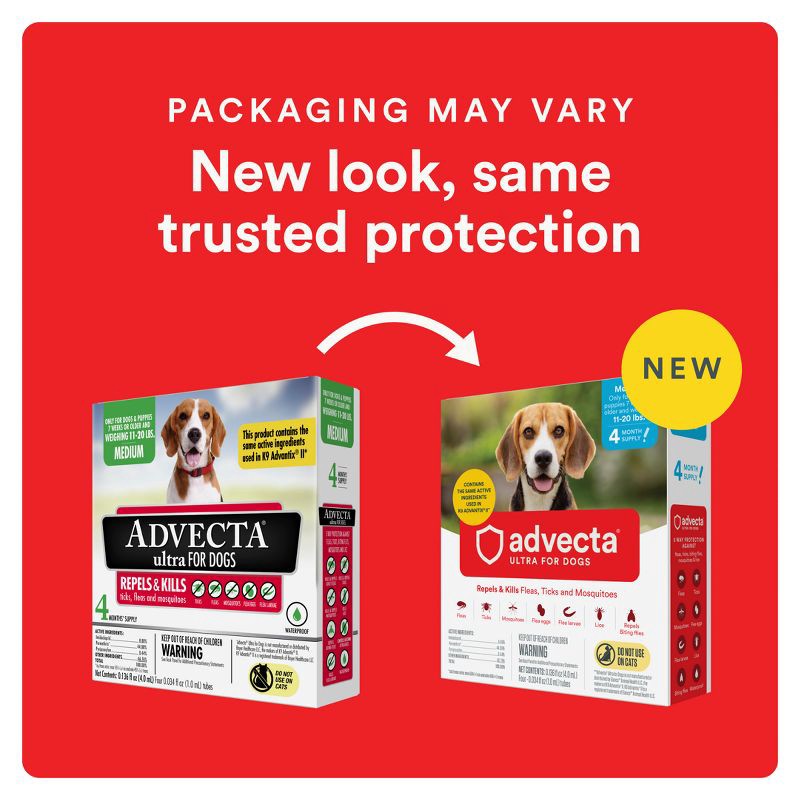 slide 2 of 9, Advecta Pet Insect Flea Drops Treatment for Dogs - M - 11 to 20lbs - 4ct, 20 lb, 4 ct