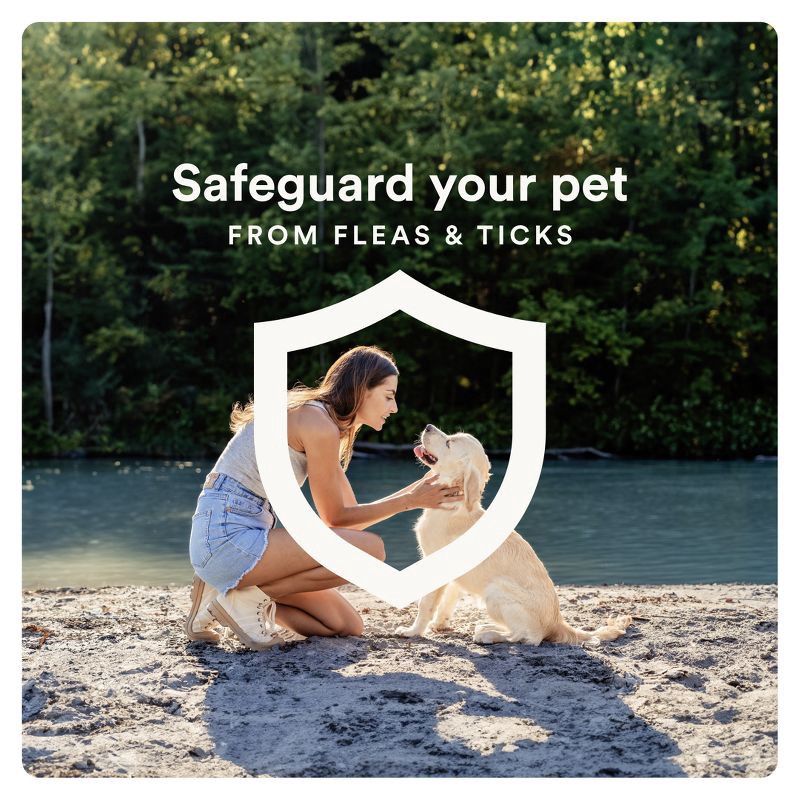 slide 8 of 9, Advecta Pet Insect Flea Drops Treatment for Dogs - M - 11 to 20lbs - 4ct, 20 lb, 4 ct