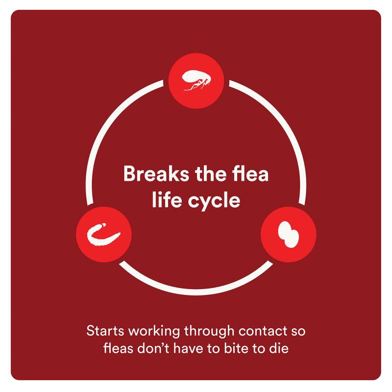 slide 6 of 9, Advecta Pet Insect Flea Drops Treatment for Dogs - L - 21 to 55lbs - 4ct, 55 lb, 4 ct